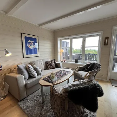 Bright, Open In Apartment