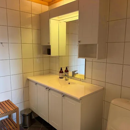 Appartement Bright, Open In Beitostølen